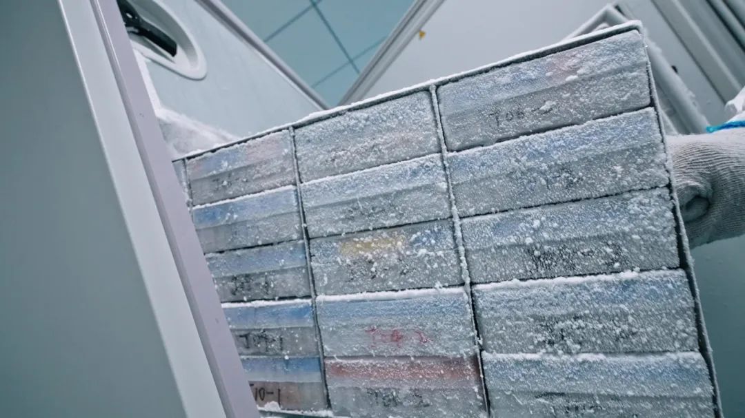 20230516_mao26189 - frame at 0m12s.jpg